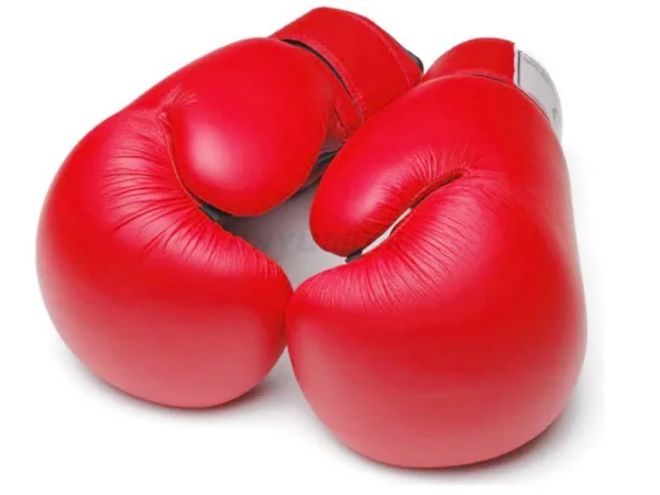 Forros de espuma para luvas de boxe